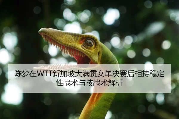 陈梦在WTT新加坡大满贯女单决赛后相持稳定性战术与技战术解析