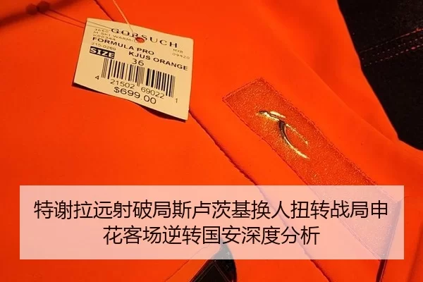 特谢拉远射破局斯卢茨基换人扭转战局申花客场逆转国安深度分析