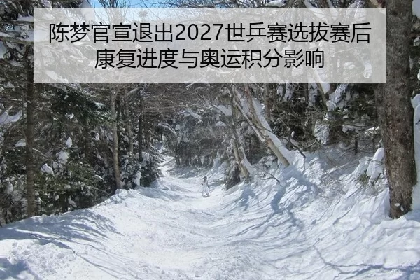 陈梦官宣退出2027世乒赛选拔赛后康复进度与奥运积分影响