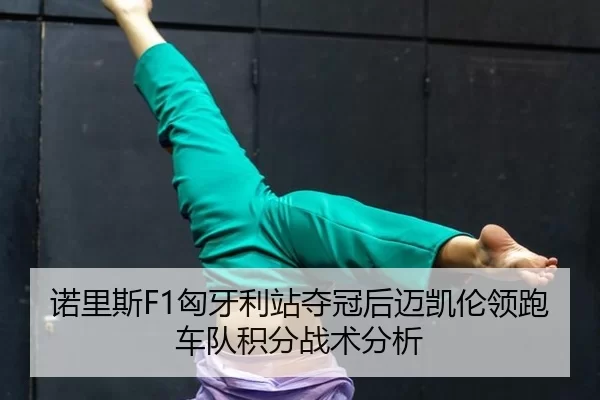 诺里斯F1匈牙利站夺冠后迈凯伦领跑车队积分战术分析